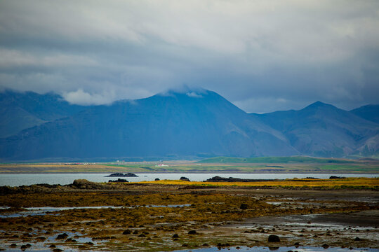 Tidal mudflat with seaweed and basalt rocks in coastal bay looking toward Hafnarfjall mountain range under cloudy sky in Akranes Iceland