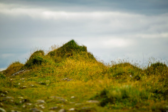 Close up of grassy mossy mounds and hummocks on coastal meadow under cloudy overcast sky in Akranes Iceland