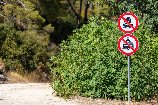Along a gravel road overgrown with vegetation, there are signs prohibiting camping and lighting fires.