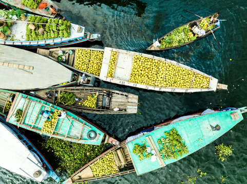 Rangamati Hill District, Chittagong Division, Bangladesh - 30 September 2023: Aerial view of wooden boats laden with coconuts floating on the dark waters of Kaptai Lake.