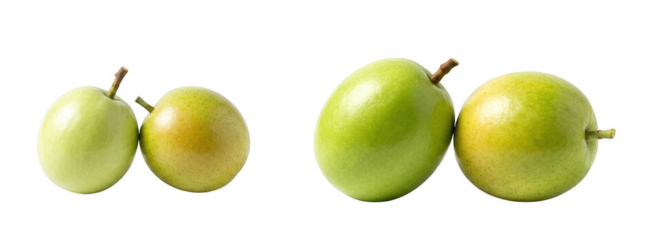 Four fresh green jujube fruits isolated on transparent background
