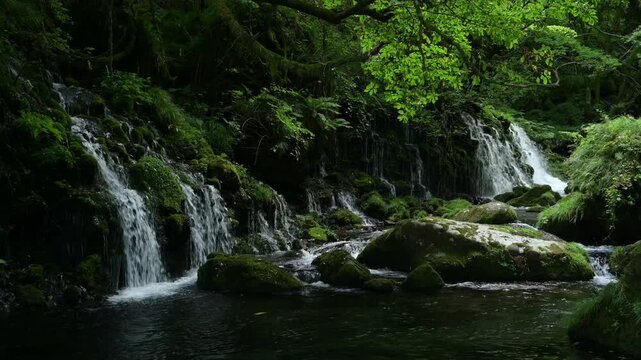 元滝伏流水から湧き出る清らかな水｜秋田県にかほ市