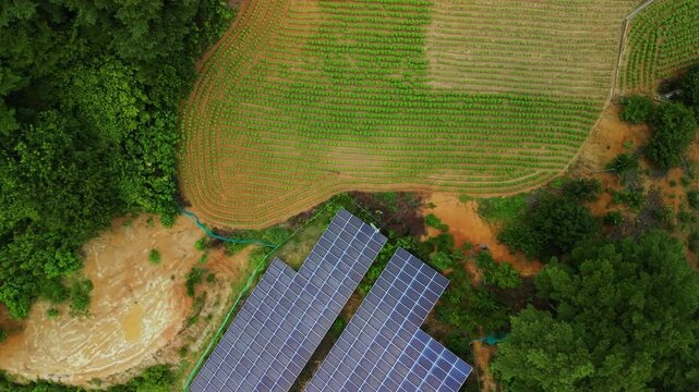 Aerial top down reveal of commercial solar panel farm beside rural farmhouse with crop fields and vegetable plots in Gangneung, Gangwon-do