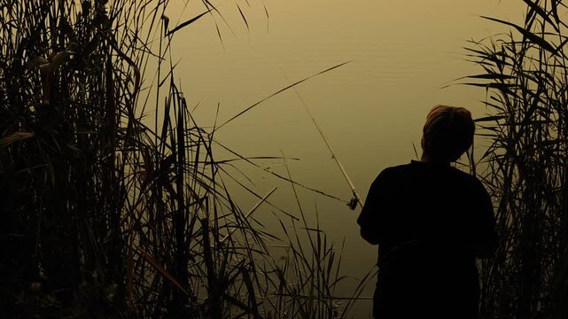 Atmospheric image of a perso fishing from the shore of a calm lake at sunset, surrounded by tall reeds and aquatic vegetation. The child is shown in dark silhouette, holding a fishing rod that extends