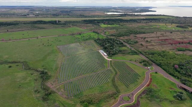 Photovoltaic arrays occupy a broad grassy site beside Arroyo Martires, with parallel panel rows, curving access roads, patches of woodland and cultivated land extending toward the distant waterway.