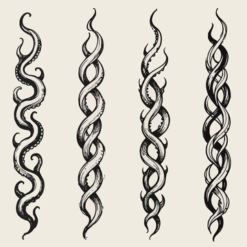 Set of silhouettes borders. Twisted Decorative Elements. Tentacle Swirls Black and white illustration. Ornamental Hand drawn doodle. Intertwined, Spiral motifs Scribble Line. 
