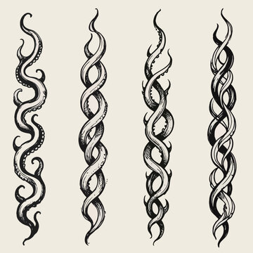 Set of silhouettes borders. Twisted Decorative Elements. Tentacle Swirls Black and white illustration. Ornamental Hand drawn doodle. Intertwined, Spiral motifs Scribble Line. 
