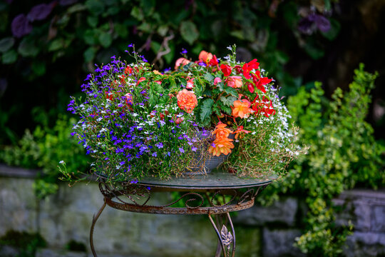 Colorful summer flower arrangement in a garden planter with vibrant red, orange, pink and purple blossoms surrounded by lush green foliage