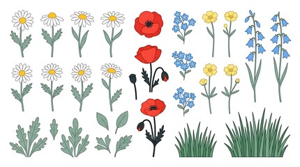 Fototapeta premium Set of various hand drawn wild flowers and green grass elements isolated on a white background for floral design projects with poppies bluebells buttercups