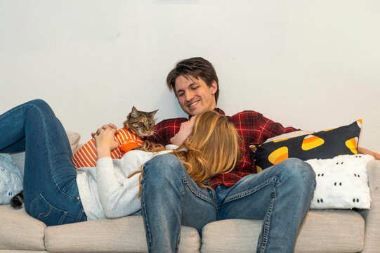 Cozy living room cuddle with cat