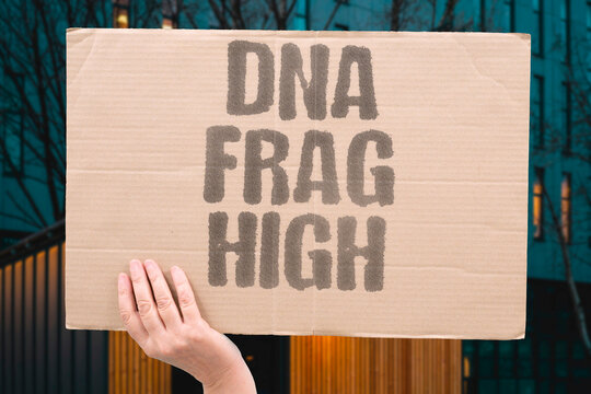 "DNA frag high" Sperm DNA fragmentation increases miscarriage. DNA. FRAGMENTATION. SPERM. MISCARRIAGE. RISK.