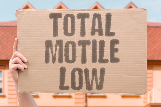 "Total motile low" Low total motile sperm count. TMC. MOTILE. SPERM. LOW. ANALYSIS.