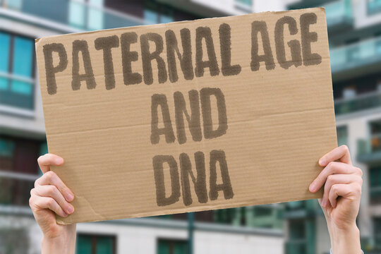 "Paternal age and DNA" Male aging increases sperm DNA fragmentation. MALE. AGE. SPERM. DNA. FRAGMENTATION.