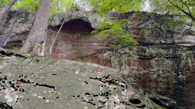 Low-angle view showcasing textured sandstone cliff walls and ancient geological details at Bell Smith Springs in Shawnee National Forest, Southern Illinois.