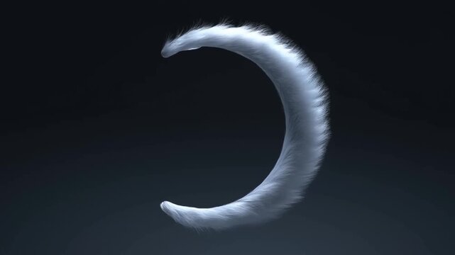Curved white feather suspended against dark background with soft lighting