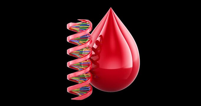 Blood drop with DNA helix rotation animation seamlessly loopable. 3D rendering isolated on transparent background