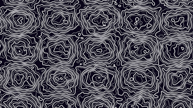 Parametric Topographic Line Art on Deep Black Field