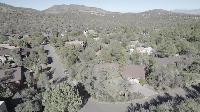 Aerial view of a tree-lined suburban neighborhood