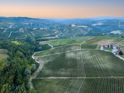 Monforte d'Alba, Piedmont, Italy - 17 August 2026: Aerial view of the rolling vineyards of Monforte d'Alba, featuring lush green vines, wooded areas, and a farmhouse at sunset.
