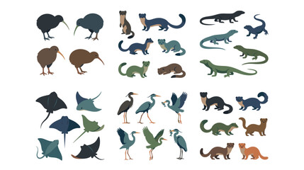 Fototapeta premium New Zealand native birds and mammals flat icons for education.