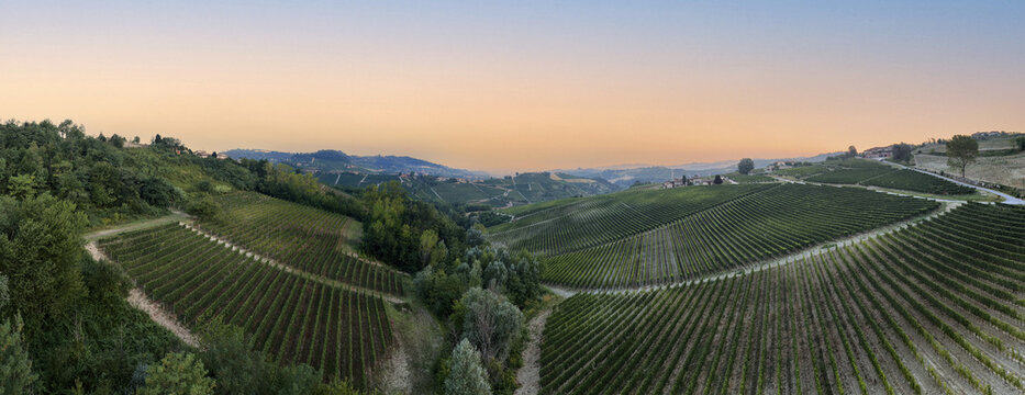 Monforte d'Alba, Piedmont, Italy - 17 August 2026: Aerial view of rolling vineyards in Monforte d'Alba, Piedmont, featuring lush green vine rows under soft sunset light.