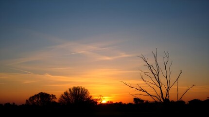 Fototapeta premium A stunning sunset over a silhouetted landscape featuring a prominent bare tree against a vibrant orange and blue twilight sky with ample copy space.