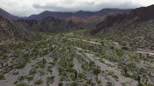 Andean wilderness valley near Purmamarca, Jujuy, Argentina