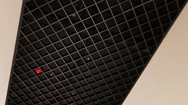 Black grid ceiling in modern residential corridor