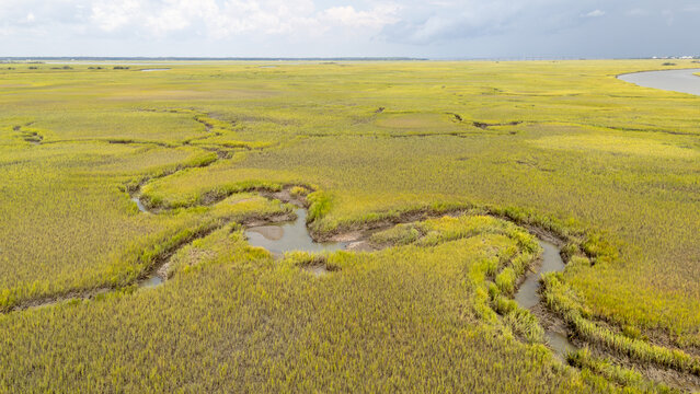 Aerial view of wetlands with winding waterways during cloudy conditions and greenery