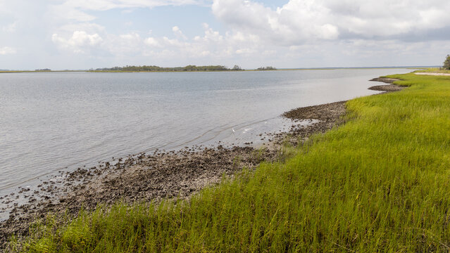 Drone view of water and grass along the shore in a coastal area on a sunny day