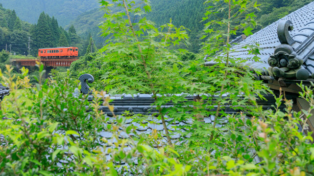 深緑の栃原橋りょうを渡って来る播但線を民家の屋根越しに撮ってみた