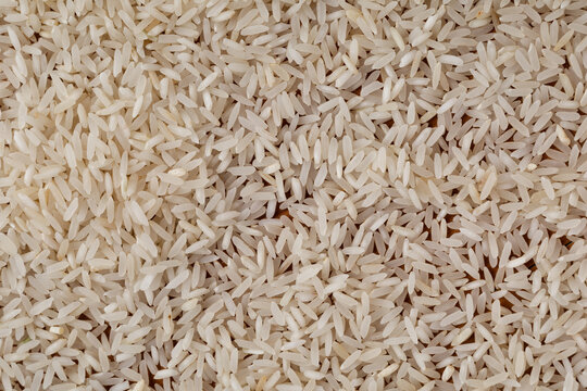 White Rice Grains Pattern Texture Background for Food and Beauty Design
