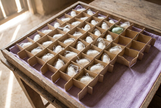 Silk cocoons in artisan sorting tray for sericulture and textile production