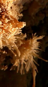 Close-up of sparkling mineral crystal formations inside a dark underground cave.