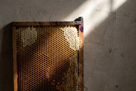 Honeycomb Frame in Sunlight for Beekeeping and Natural Honey Production