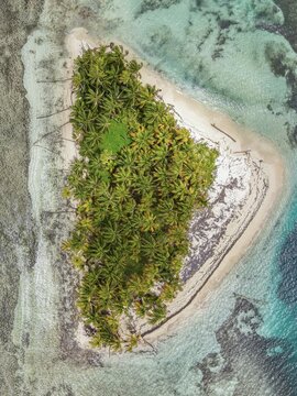 Aerial view of a lush tropical island covered in palm trees, surrounded by turquoise waters and coral reefs in Guna Yala Comarca, Panama.