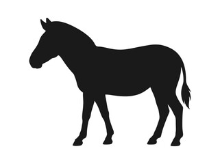 Fototapeta premium Black silhouette of a standing zebra isolated on white background. EPS Editable. Vector Illustrations.