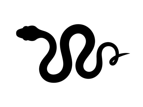 Black snake silhouette graphic vector illustration. EPS Editable. Vector Illustrations.
