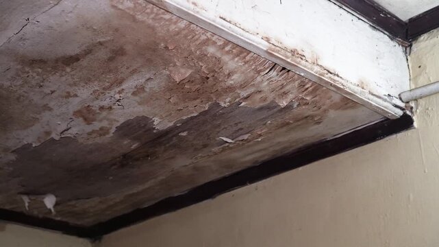 Close-up of a deteriorating ceiling showing peeling paint, water stains, and mold growth. Ideal for home repair, property maintenance or environmental hazard content.