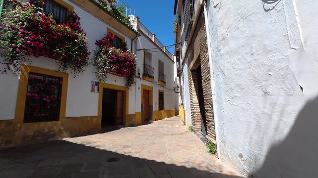 Charming street in Cordoba with colorful flower displays