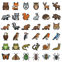 Fototapeta premium Cute Forest Animal Illustrations Isolated Transparent Background