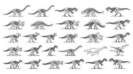 Dinosaur fossils skeletons set isolated on white background. © GW