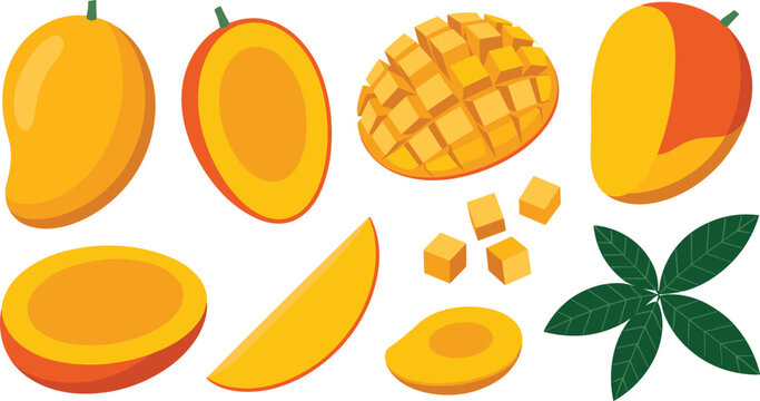 Flat vector mango fruit set showing whole ripe orange fruits cut half with large pit sliced grid hedgehog pattern juicy cubes and green leaf rosette
