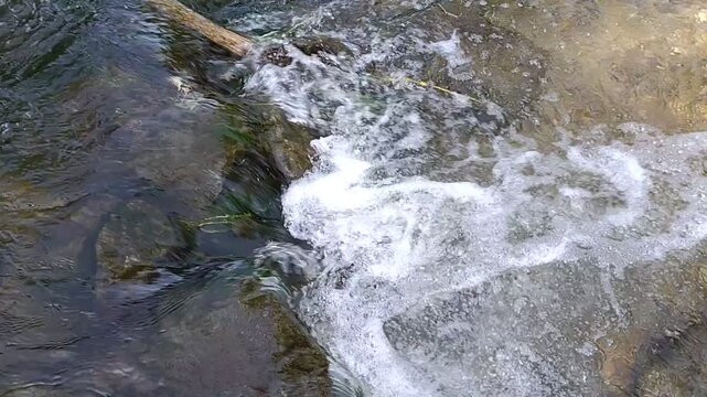 Small water vortex swirling in a flowing stream