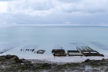 View of underwater oyster farms in Cancale, Brittany, exposed during low tide, raditional sustainable aquaculture and production of premium French oysters, France © barmalini