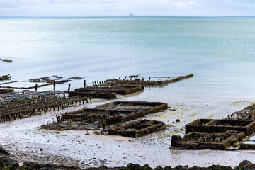 View of underwater oyster farms in Cancale, Brittany, exposed during low tide, raditional sustainable aquaculture and production of premium French oysters, France © barmalini