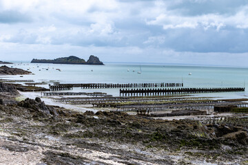 View of underwater oyster farms in Cancale, Brittany, exposed during low tide, raditional sustainable aquaculture and production of premium French oysters, France © barmalini