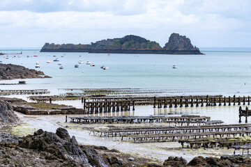 View of underwater oyster farms in Cancale, Brittany, exposed during low tide, raditional sustainable aquaculture and production of premium French oysters, France © barmalini