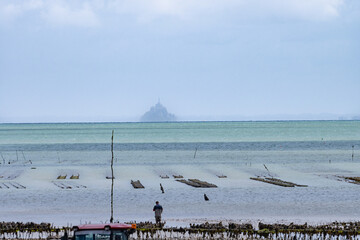 View of underwater oyster farms in Cancale, Brittany, exposed during low tide, raditional sustainable aquaculture and production of premium French oysters, France © barmalini