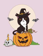 Fototapeta premium cute-halloween-black-cat-witch-pumpkin-vector